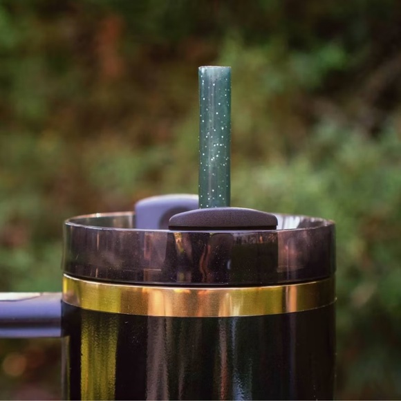 Stanley Wicked For Good Elphaba Tumbler, 40 oz. with Matching Reusable Straws - Picture 11 of 14